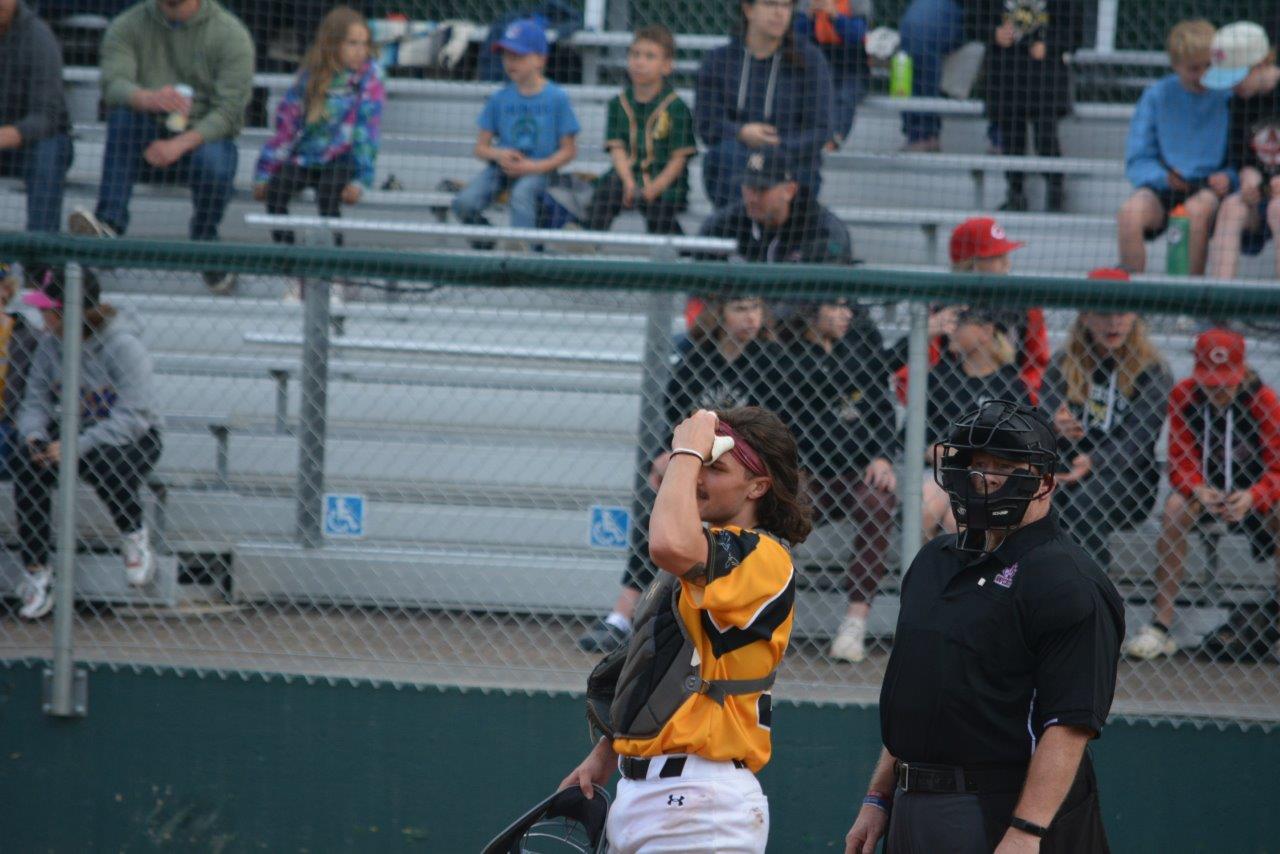 photos-moose-jaw-miller-express
